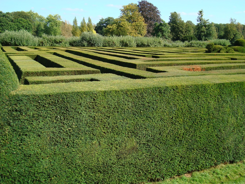 Labyrinth in the East Garden