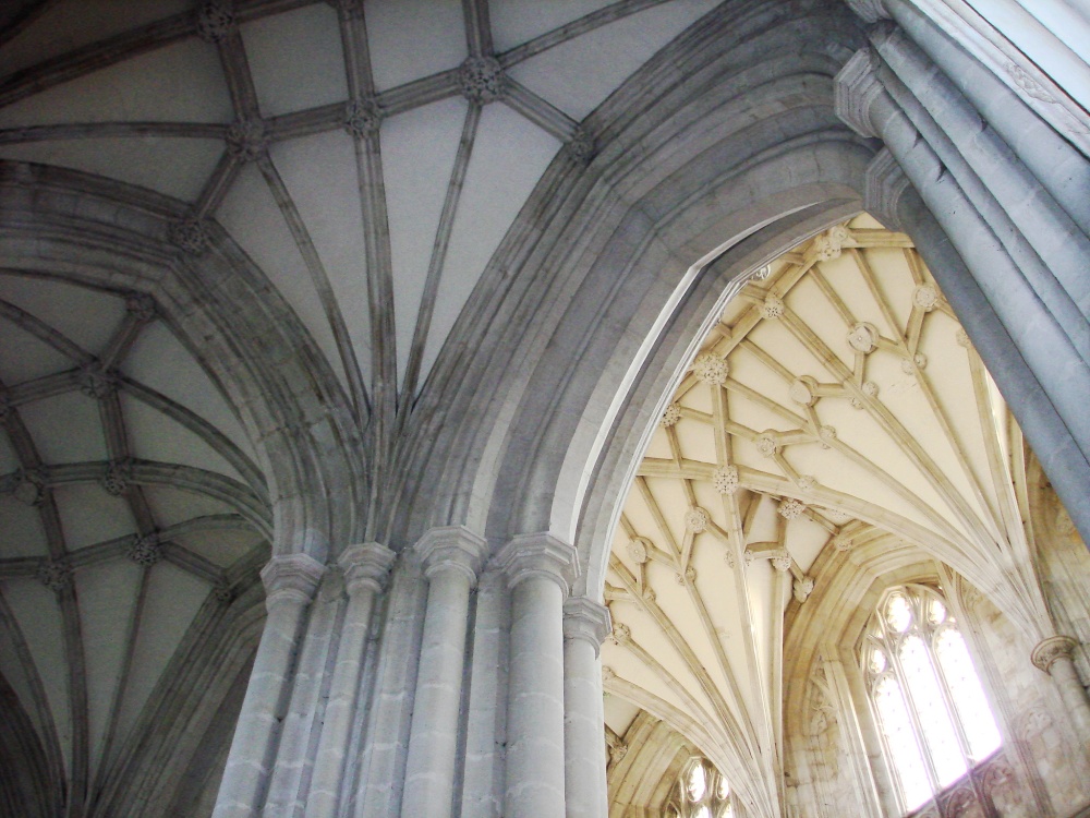Winchester Cathedral vaulted ceiling