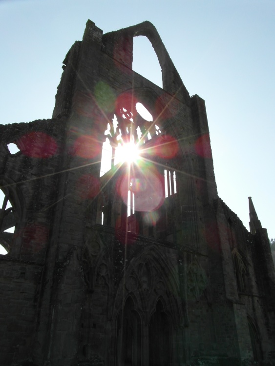 See The Light At Tintern Abbey