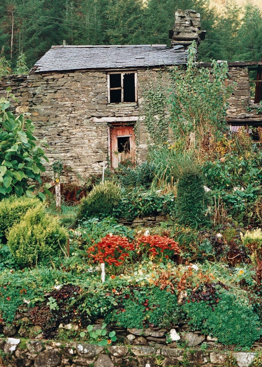 Dilapidation cottage, Llanquriq, Powys, Wales