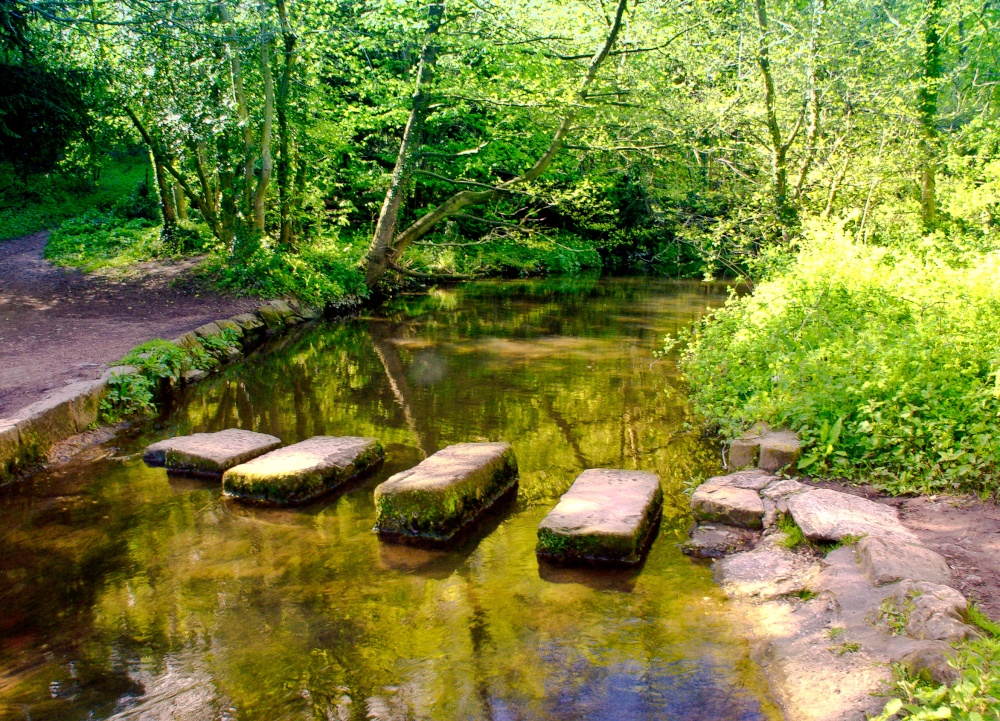 Stepping Stones, Roche Abbey, South Yorkshire