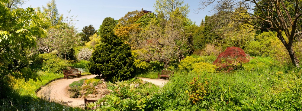 Bath Botanical Gardens