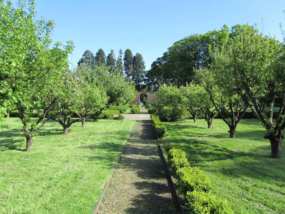 Orchard House Garden