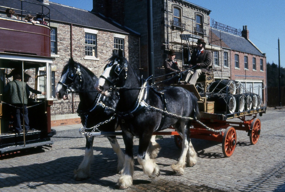 Brewers Dray in the town at Beamish museum