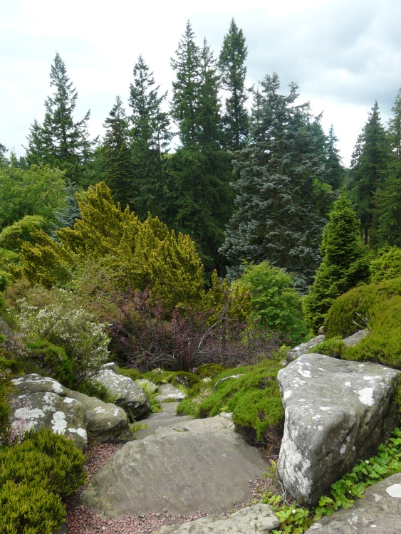 Cragside House, the rockery