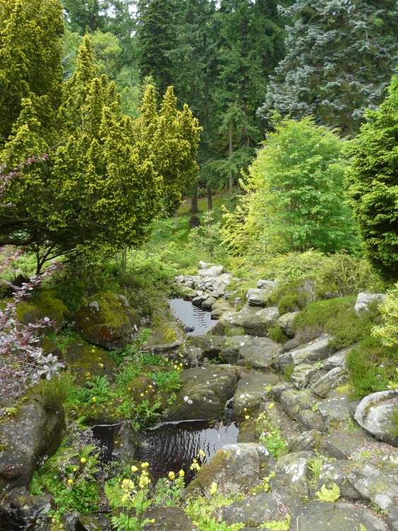 Cragside House, the rockery
