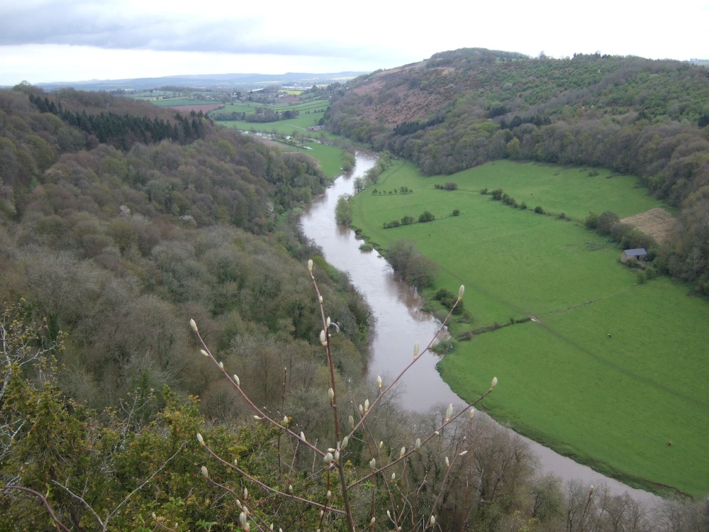 The Wye Valley from Symonds Yat Rock