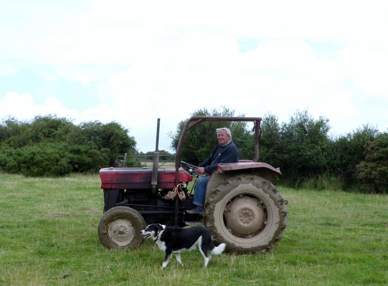 Ilfracome farmer and working dog