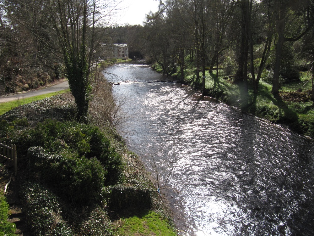 View of the River Doon from the Brig O' Doon in spring