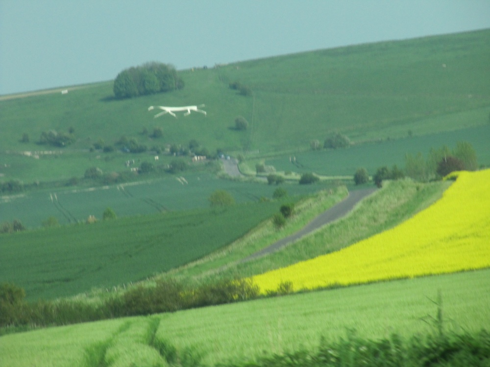 The Hackpen White Horse near Broad Hinton