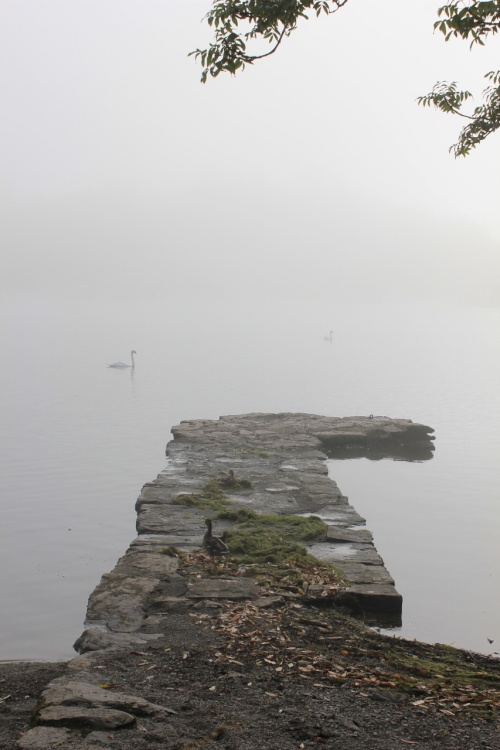 The Jetty of the Mists