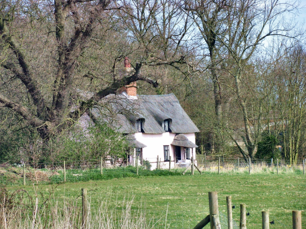 A pretty thatched Cottage in Benhall