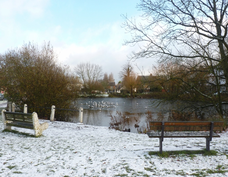 Lower Ashtead Pond