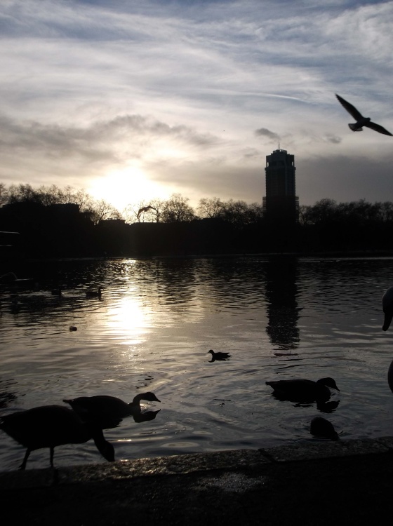Sunset over the Lake,Hyde Park,London