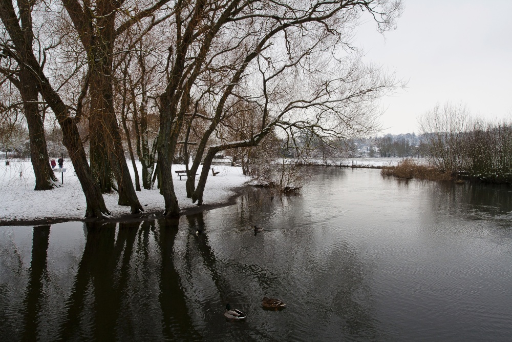 River scene in Salisbury