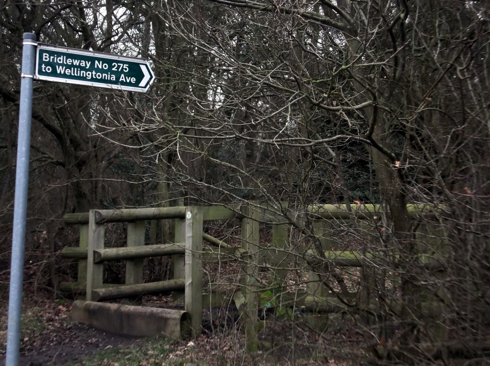 Havering Country Park, Romford