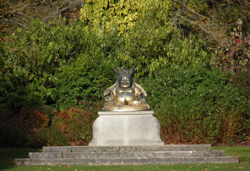 Budda North Gardens