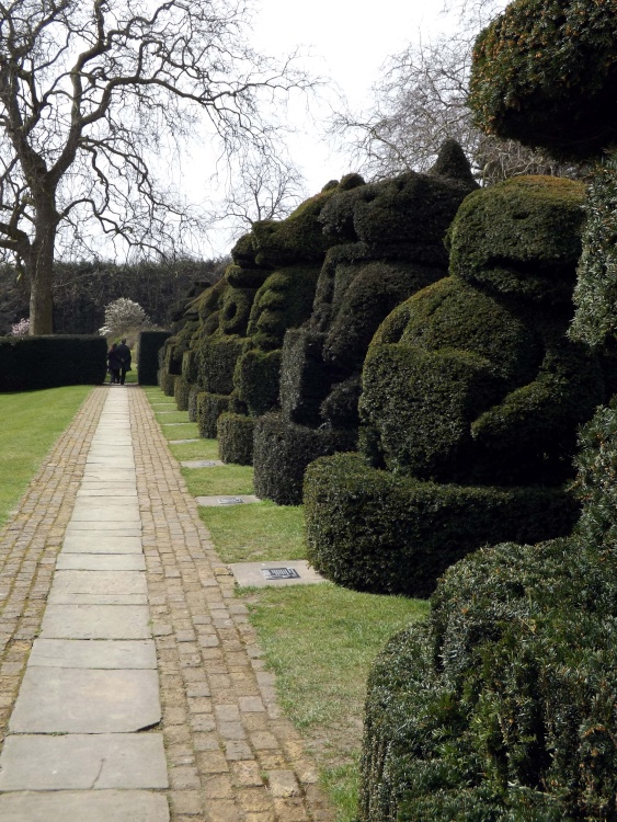 Topiary at Hall Place, Bexley