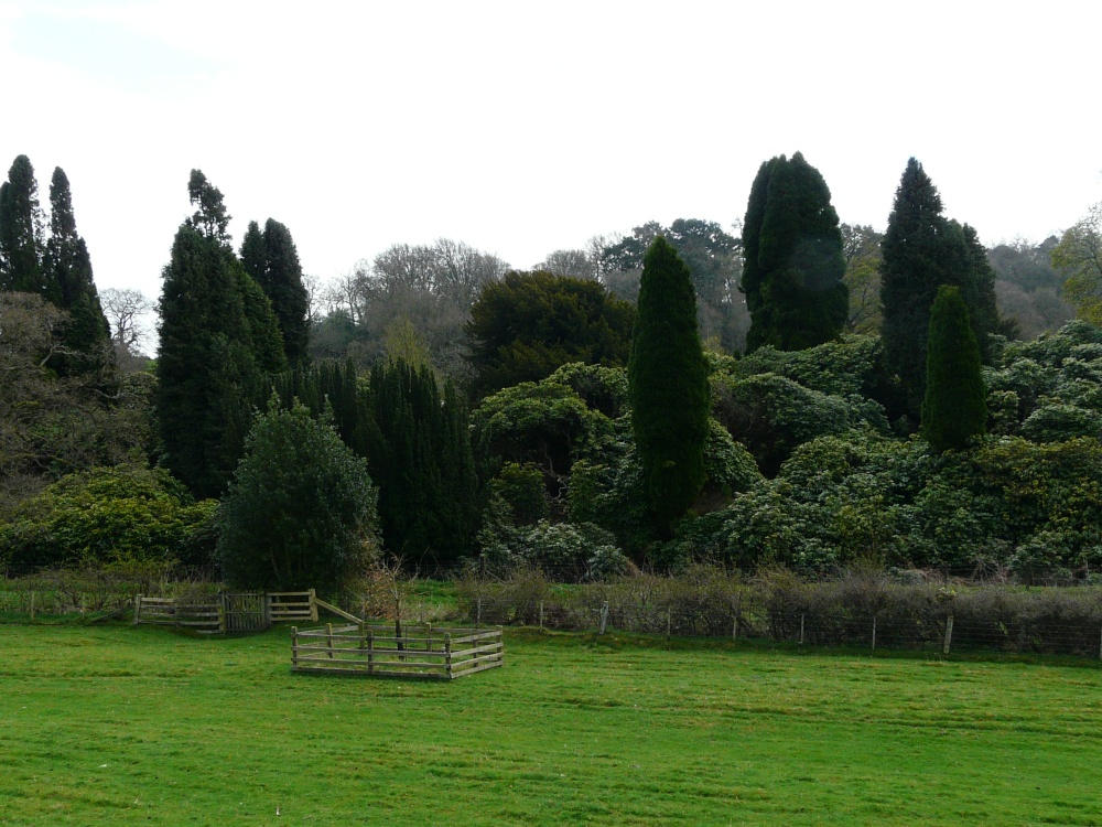 Belsay Hall and Gardens, Ponteland, Northumberland