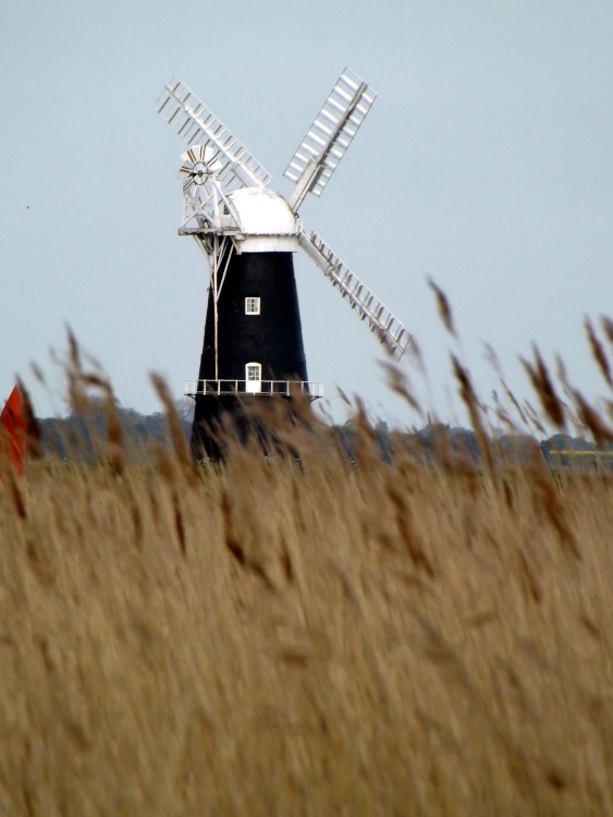 Breydon water and Berney Arms Mill, Burgh Castle, Norfolk