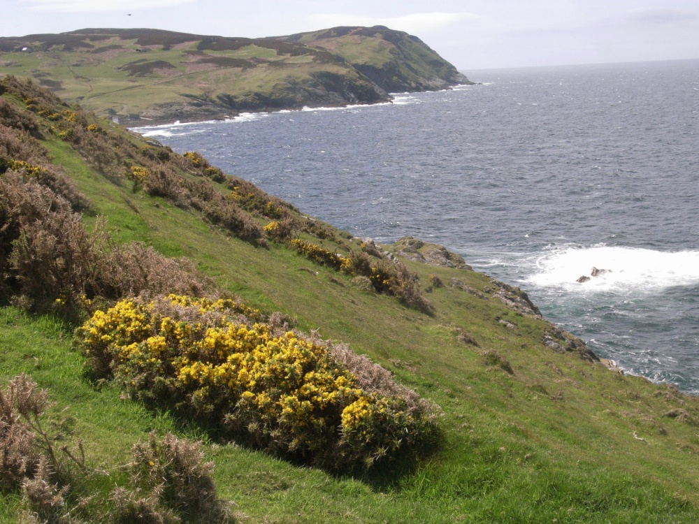 A view of the Calf of Man