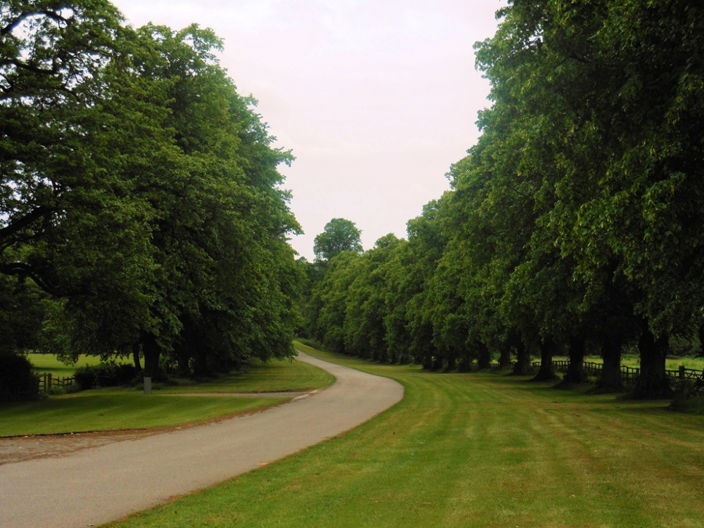 Tree-lined drive, Stoneleigh Abbey