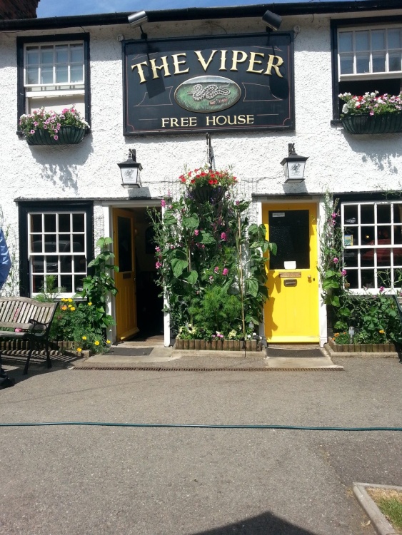 The Viper Pub, Mill Green