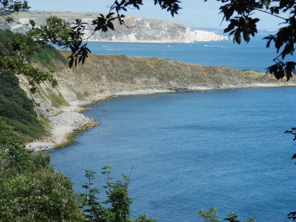 View from the coastal path near Swanage