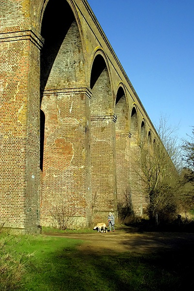 Chappel's Victorian Viaduct