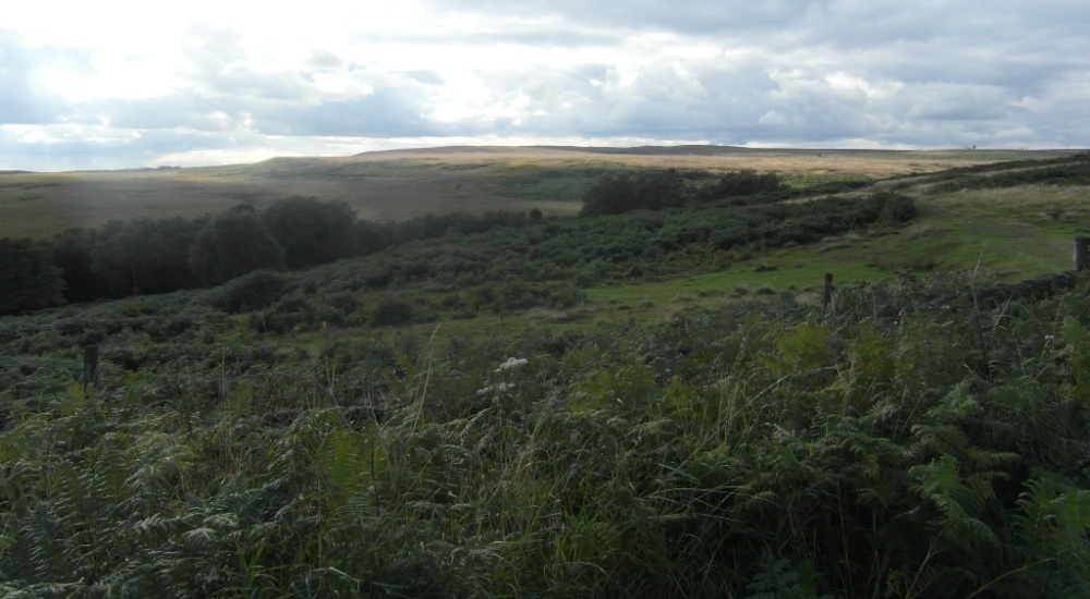 Derbyshire Countryside