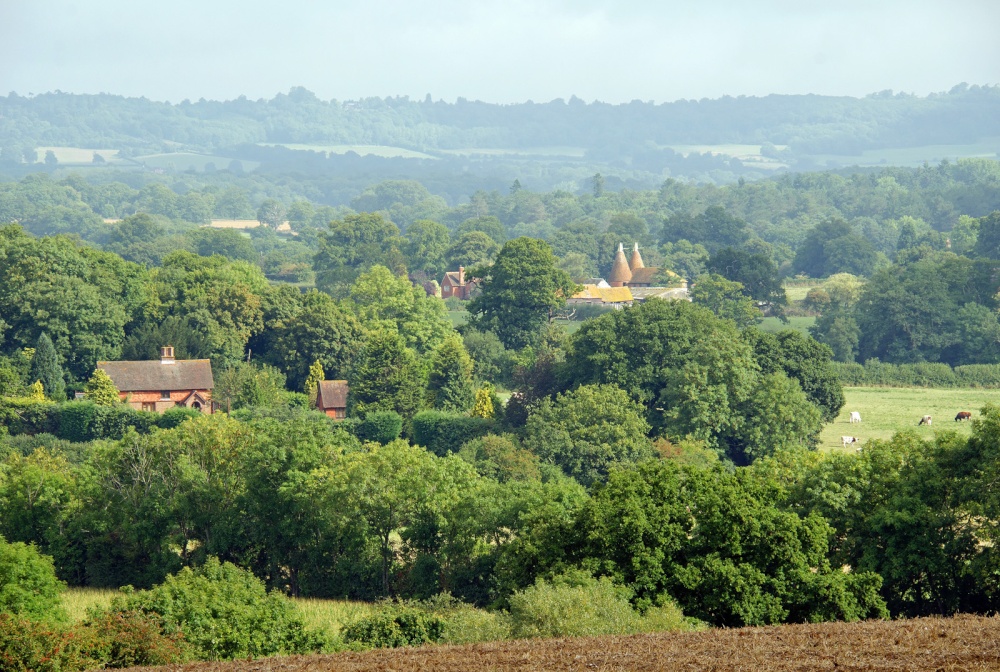 The view from Chiddingstone