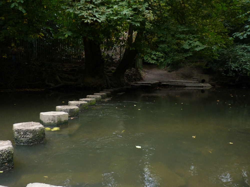 Stepping Stones Over The Mole