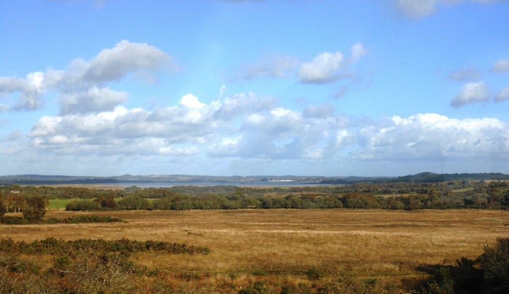 View of Poole harbour from Norden