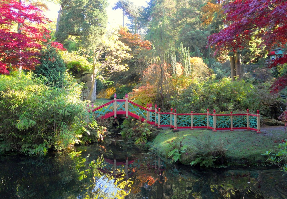 The Japanese water garden