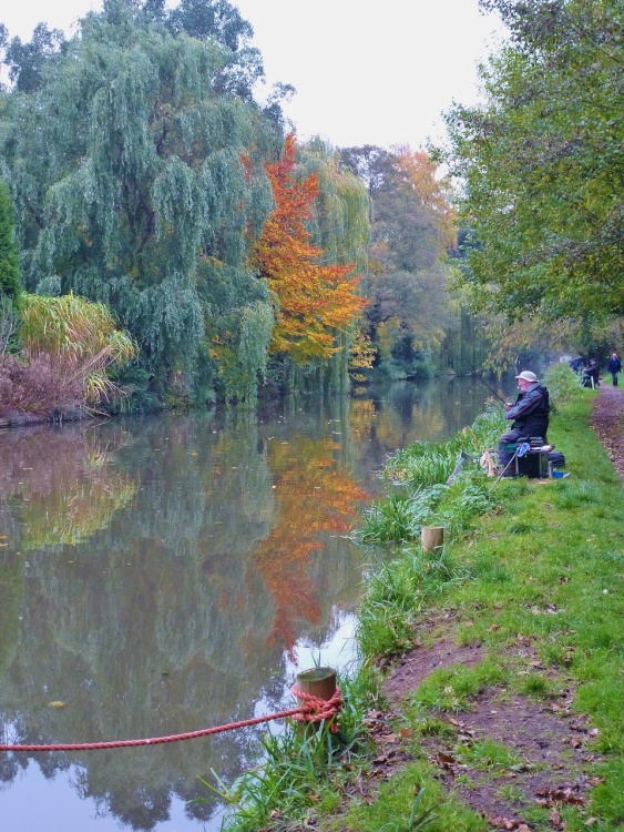 The Fisherman in the Fall