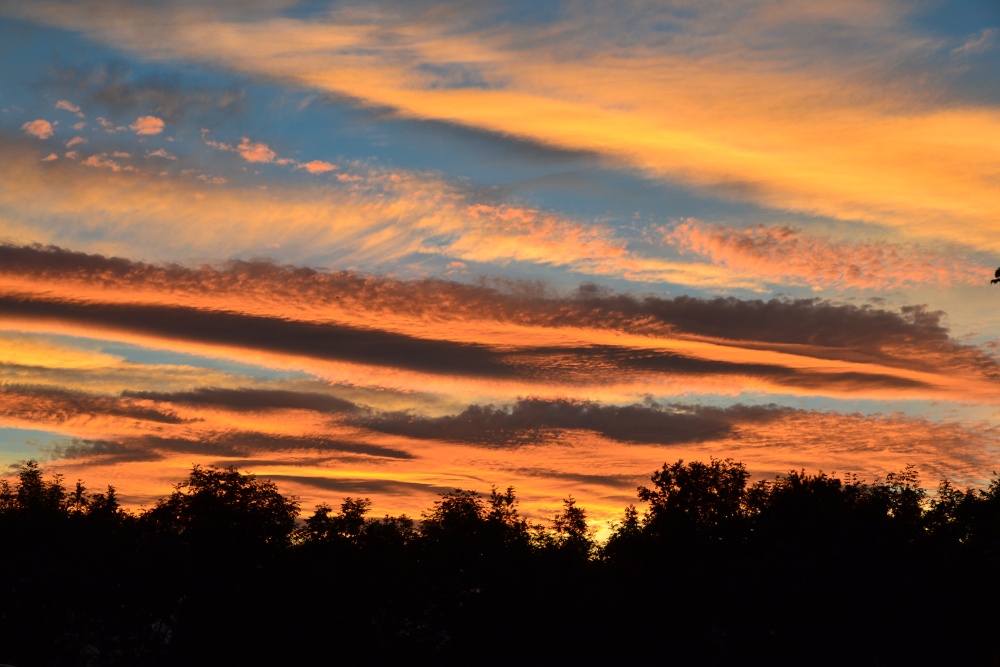Northumberland sunset