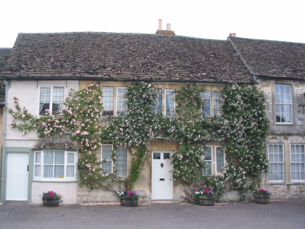 Rose-Covered Cottage in Lacock (1) - June, 2003