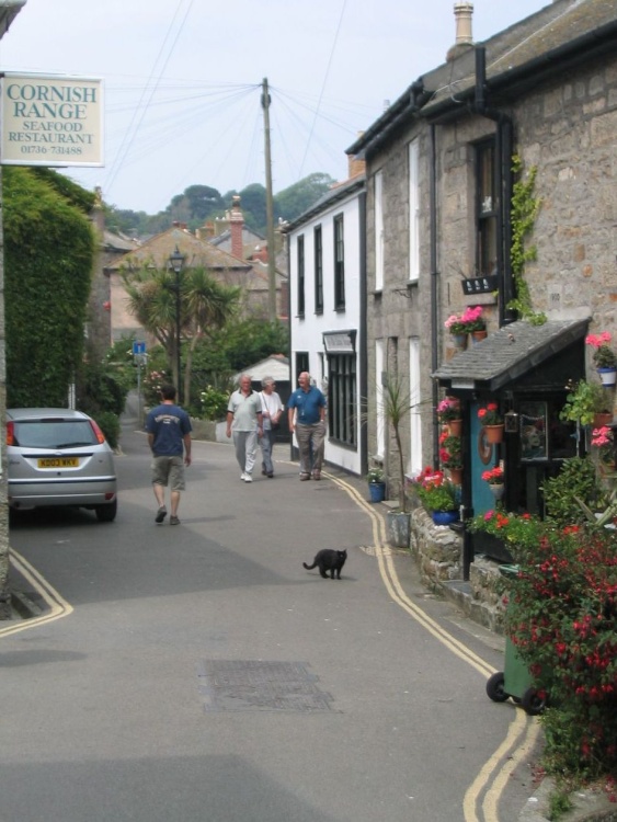 Cat - On the Town - in Mousehole - June 2003