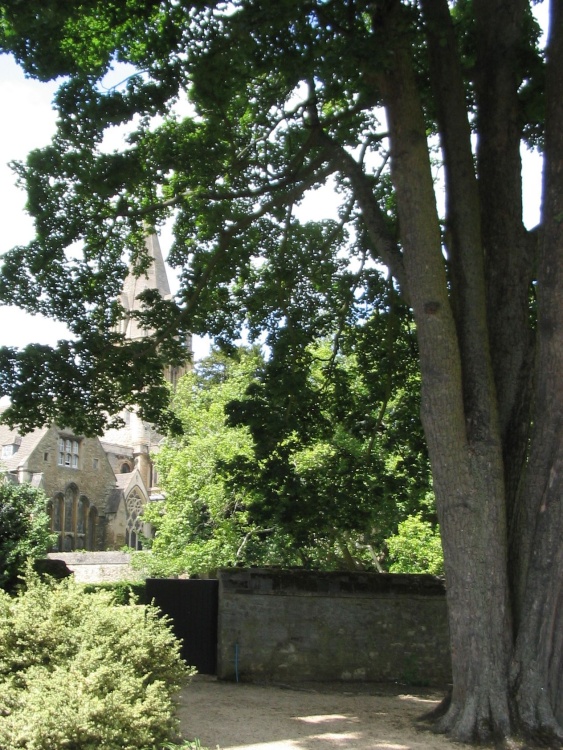 Oxford - Christ Church Garden Path - June 2003