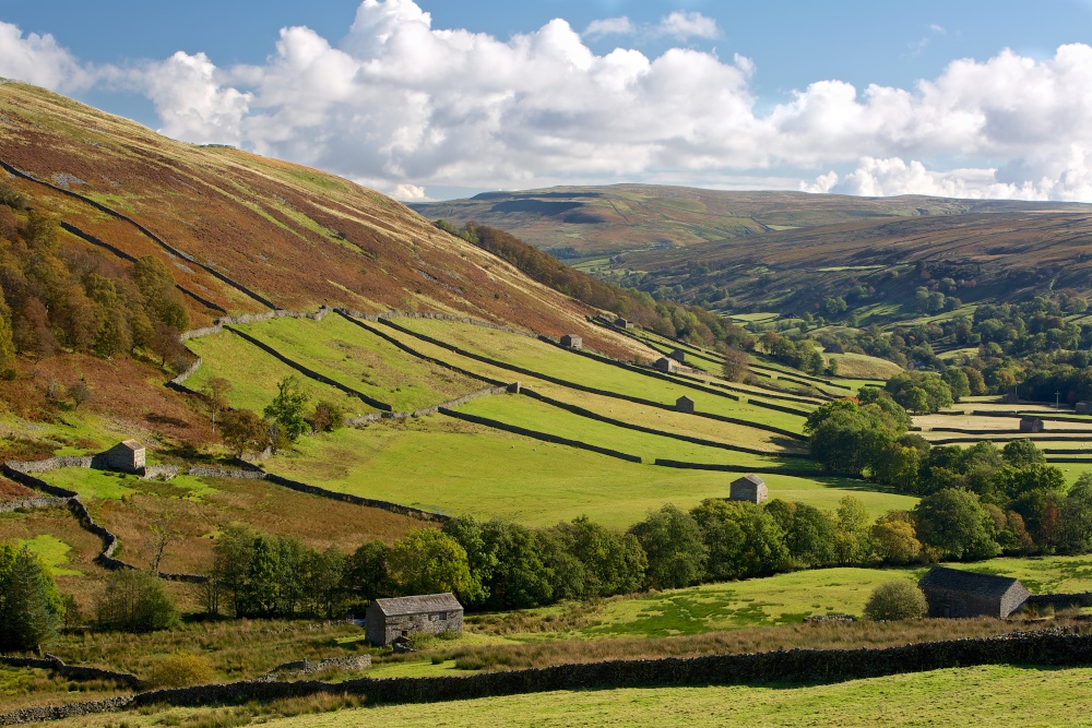 Fields and Fells of Yorkshire Dales
