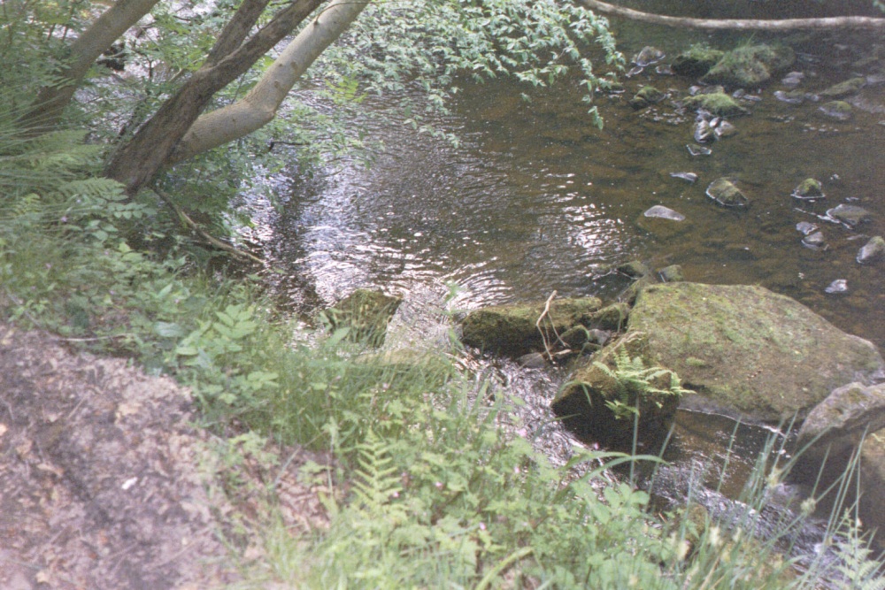 Beck Hole - View of River from Path to Thomason Foss