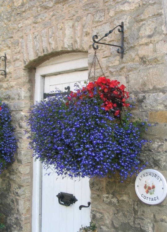 Lyndhurst Cottage Flowers in Stow on the Wold