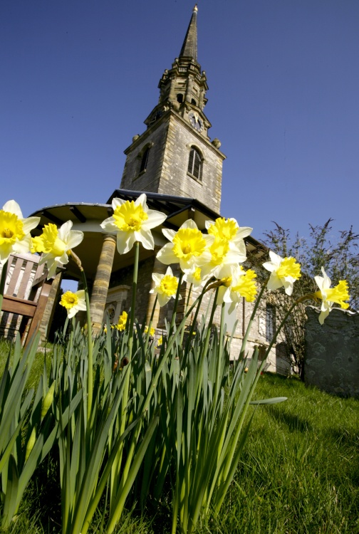 Mereworth Village Church and daffodils