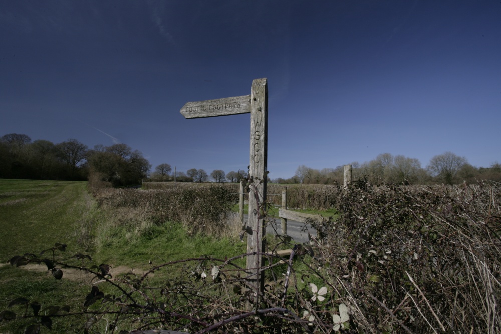 A Rural Walk Sussex
