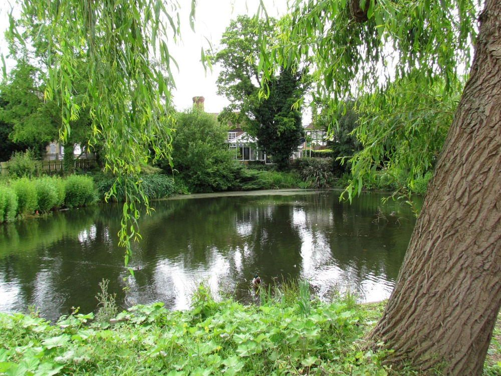 The duck pond, Ruislip