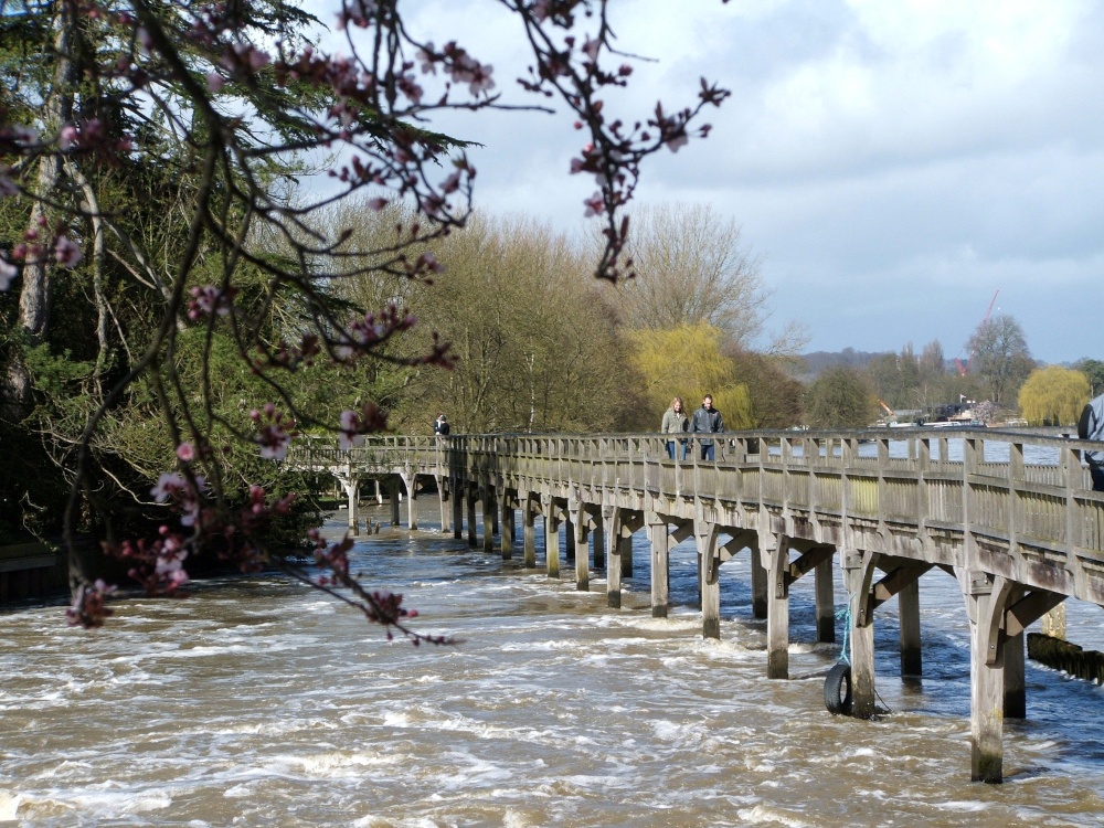 The wooden bridge, Henley