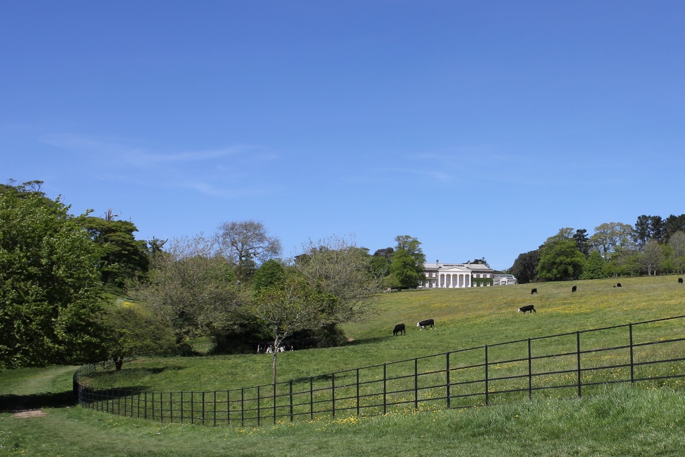 Trelissick Park and House.