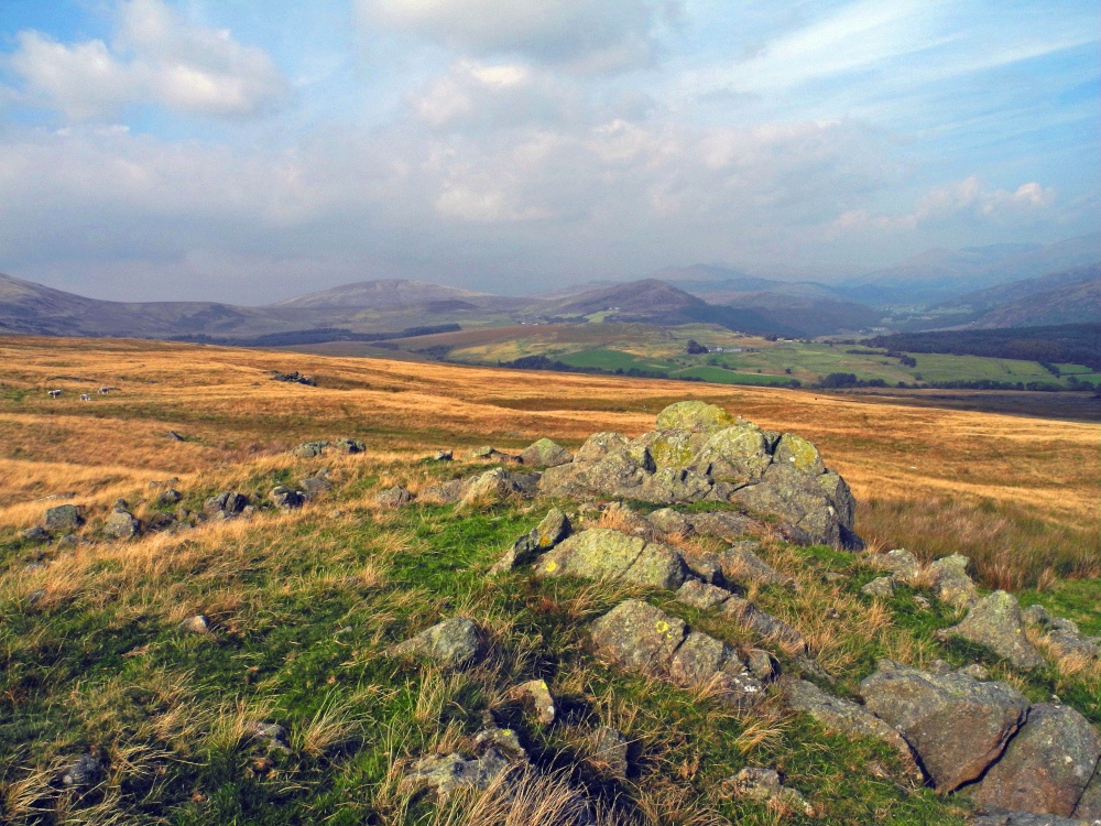 Cumbrian Moor View