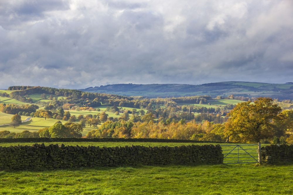 Autumn Colours on the  Chatsworth Estate 2