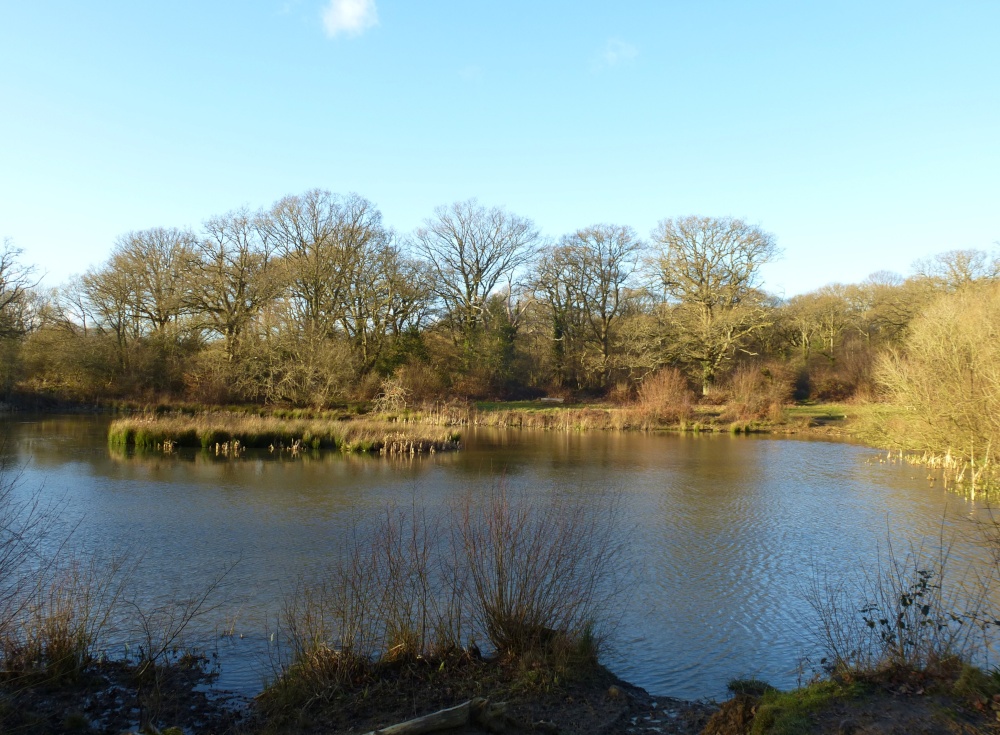 Isle of Wight Pond From The Other Side